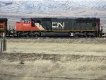 CN 5601